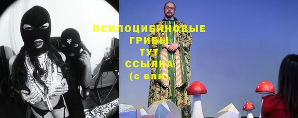 мяу мяу мука Михайловка