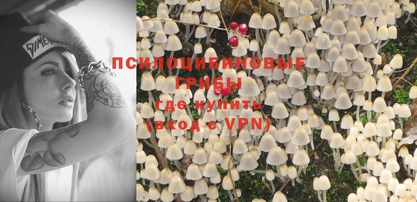 спиды Михайлов
