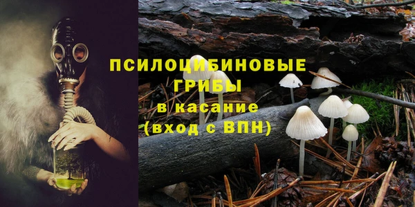 спиды Михайлов
