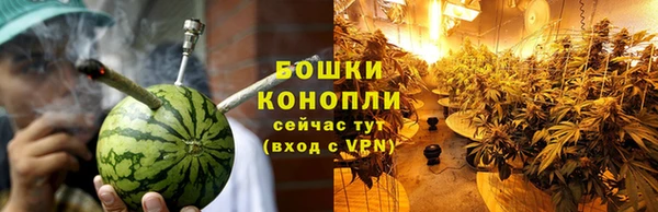 спиды Михайлов